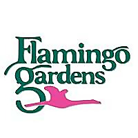 Flamingo Gardens Blog