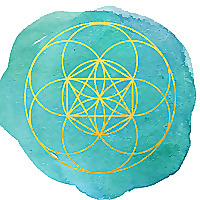Nourished Energy Blog