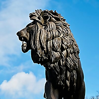 Edible Reading &raquo; Reviews