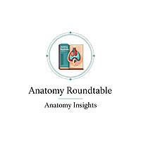 Anatomy Roundtable