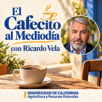 El Cafecito al mediodia con Ricardo Vela