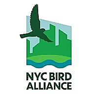 NYC Bird Alliance Blog