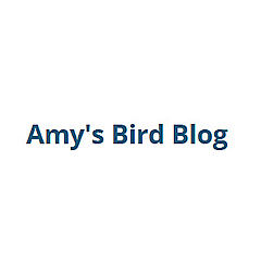 Amy&#39;s Bird Blog