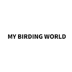 My Birding World