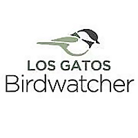 Los Gatos Birdwatcher Blog