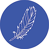 Bird Collective Blog