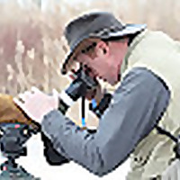 Birding Through Glass