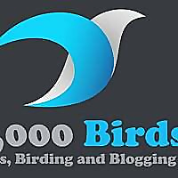 10,000 Birds » Birding