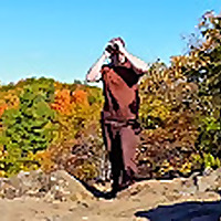 The Brownstone Birding Blog
