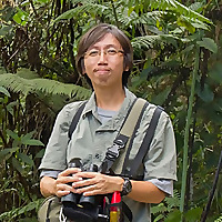 A Malaysian Birder