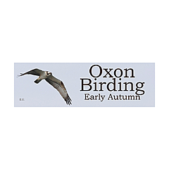 Oxon Birding Blog