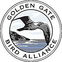 Golden Gate Bird Alliance Blog