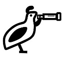 Birding About The Bay Blog