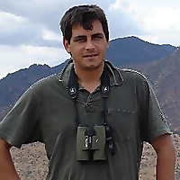 Non-Stop Birding