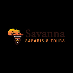Savanna Safaris Blog