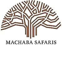 Machaba Safaris Blog