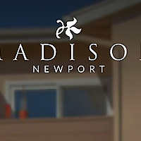 Madison Newport Blog