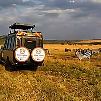 Bison Safaris Blog