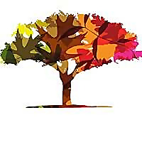 Ann Arbor Area CF Blog