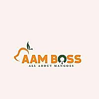 Aamboss Blog