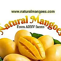 Natural Mangoes Blog