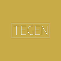 Tegen Accessories Blog