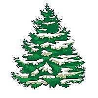 Cedar Hill Christmas Tree Farm Blog