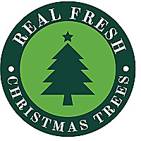 Real Fresh Christmas Trees Blog