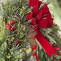 Runyans Country Tree Farm Blog