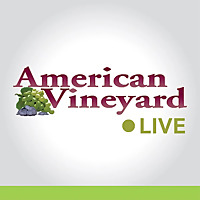American Vineyard Live