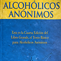 ESTUDIO DEL LIBRO ALCOH&Oacute;LICOS AN&Oacute;NIMOS