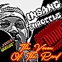 INSANE THROTTLE / MOTORCYCLE MADHOUSE