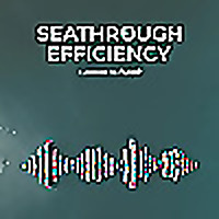 Seathrough Efficiency