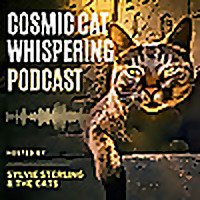 Cosmic Cat Whispering
