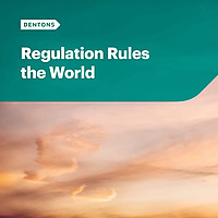 Regulation Rules the World