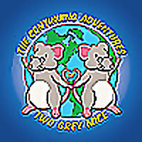 Adventures of Two Grey Mice
