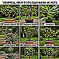 Grow Your Plant Bigger, Simple Hack!