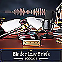 Binder Law Briefs