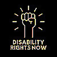 Disability Rights Now: Inside the Fight for Accessibility, Inclusion, and Independent Living
