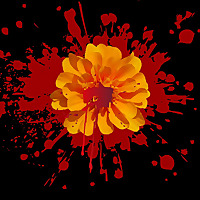 Welted Marigold | Desi Crime & Indian True Crime Stories
