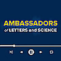 The Ambassadors