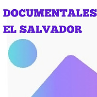 PROYECTO VIGILANTE