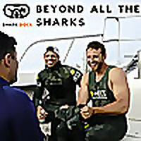 Beyond All the Sharks