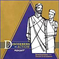 Discerners in Action