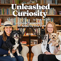 Unleashed Curiosity by Vital Pet Life