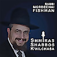 Hilchos Shabbos - Shmiras Shabbos K'Hilchasa