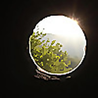 Look in Through the Glass