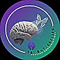 TBI Butterflies: Healing Conversations
