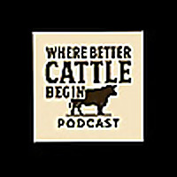 Where Better Cattle Begin