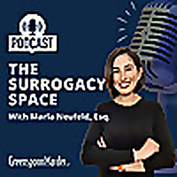 The Surrogacy Space